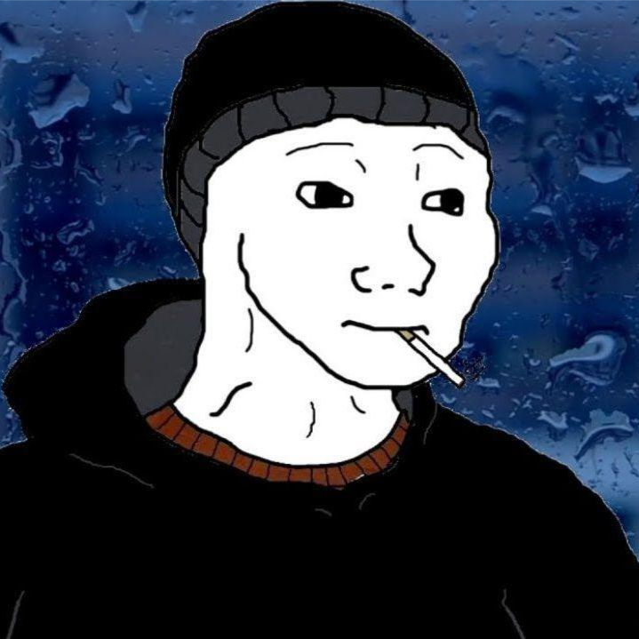 DajDon profile picture